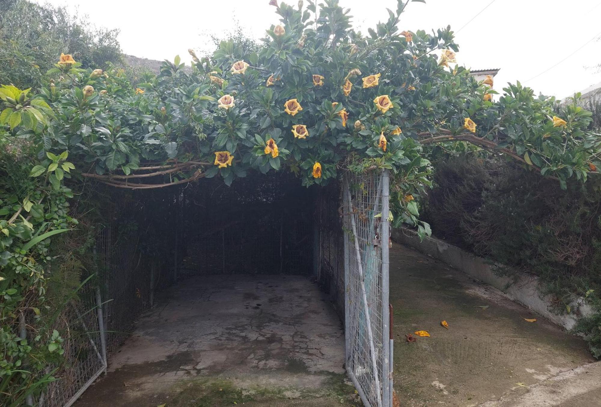 Sofiana's Garden Retreat With Private Pool Dhrapanias