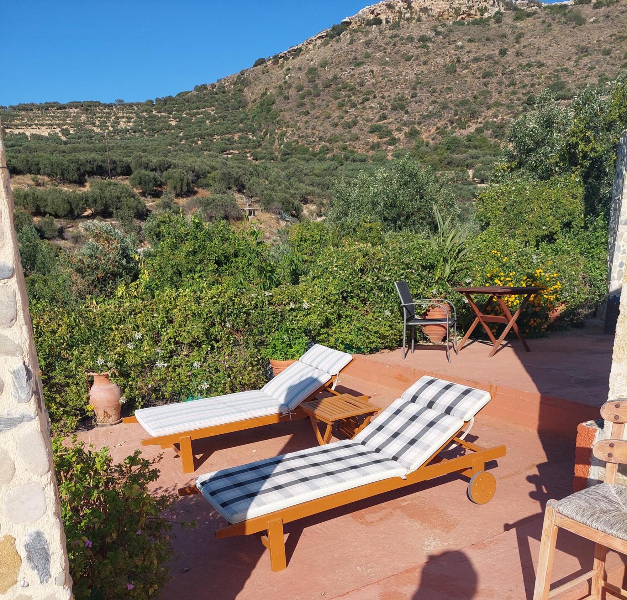 Sofiana's Garden Retreat With Private Pool Apartment
